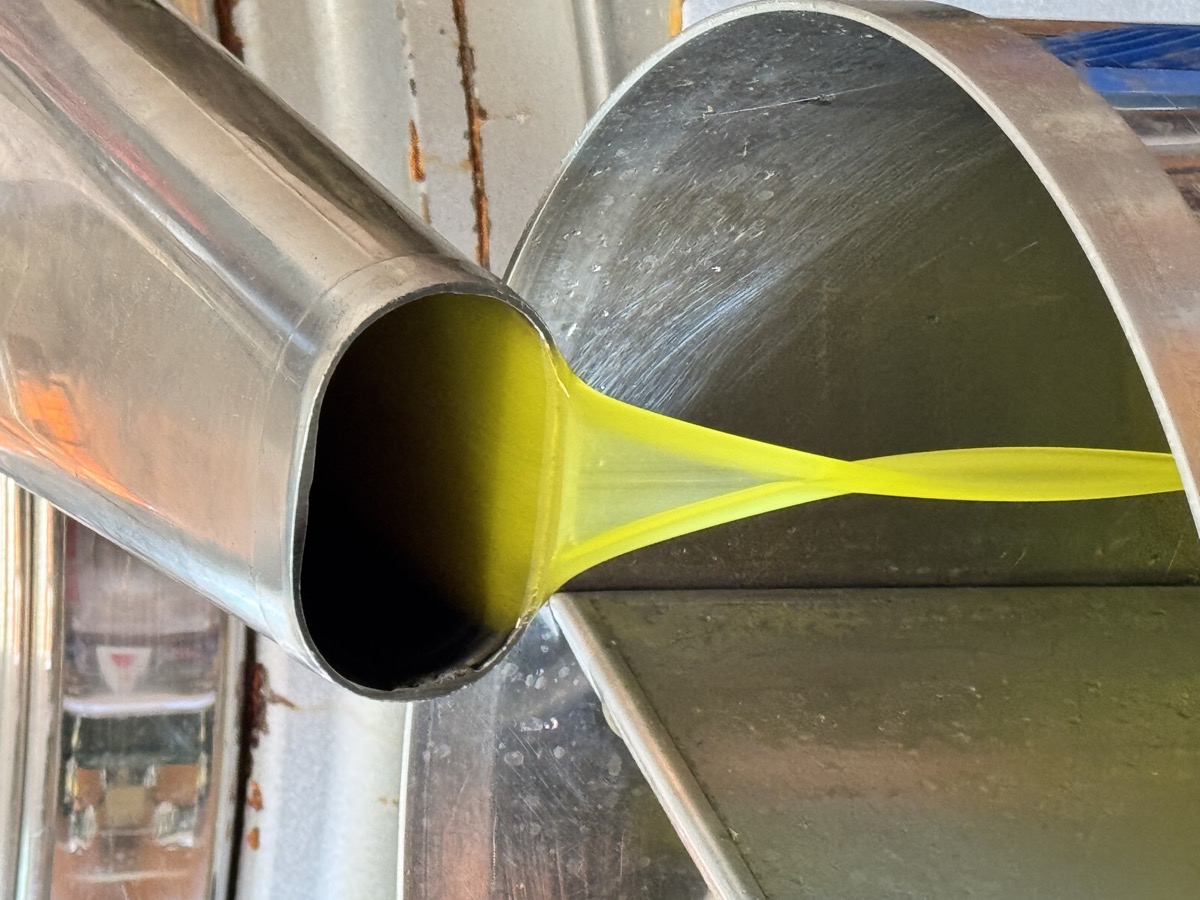 Olio che esce dal frantoio