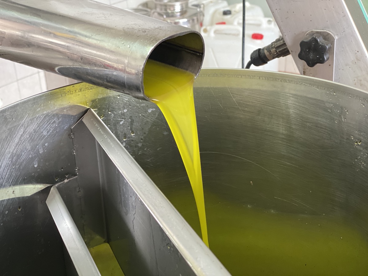 Olio extravergine appena estratto